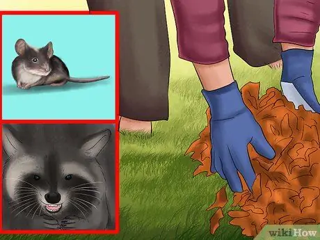 Защитите свою собаку от диких животных Шаг 3