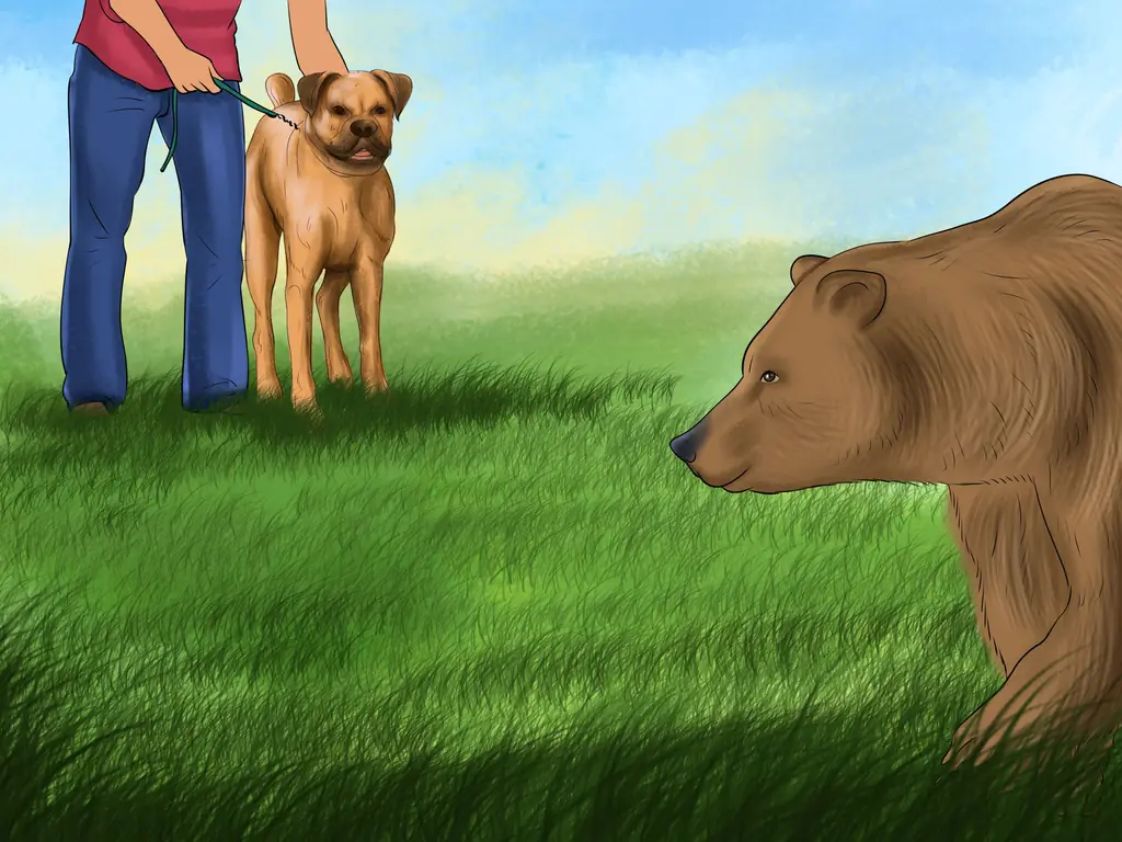 3 способа защитить вашу собаку от диких животных