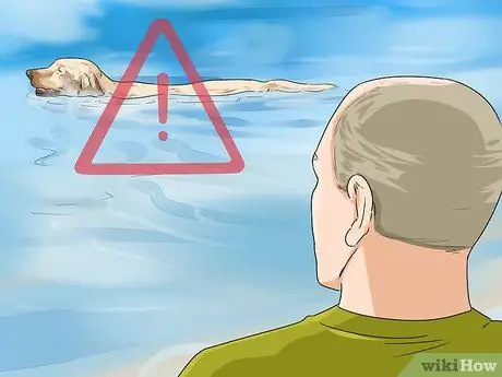 Защитите свою собаку от природных источников воды Шаг 13