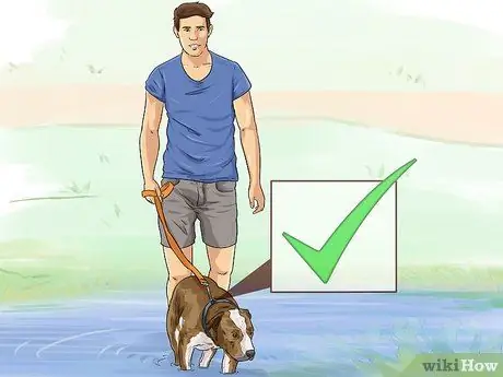 Защитите свою собаку от природных источников воды Шаг 5
