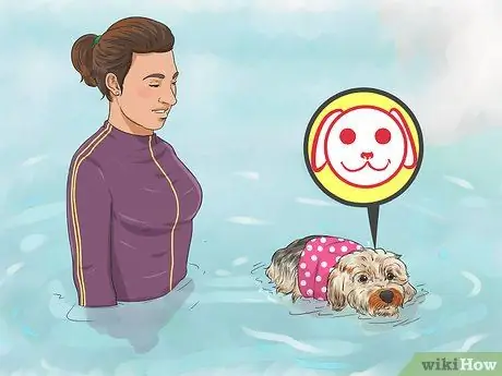 Защитите свою собаку от природных источников воды Шаг 7