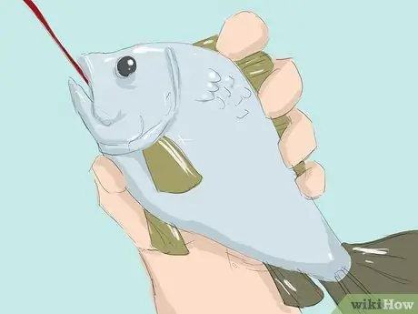 Извергнуть рыбу Шаг 1