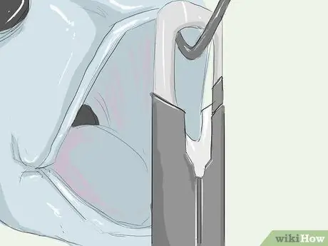 Извергнуть рыбу Шаг 3