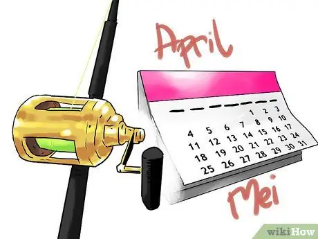 Поймать Шада, шаг 2