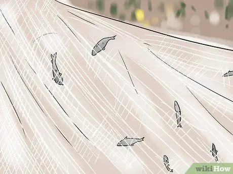 Поймать Шада, шаг 9