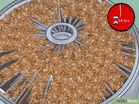 Солодовый ячмень Шаг 13