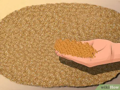 Солодовый ячмень Шаг 15