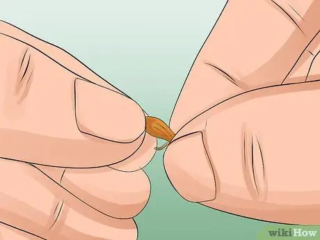 Солодовый ячмень Шаг 16