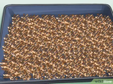 Солодовый ячмень Шаг 7