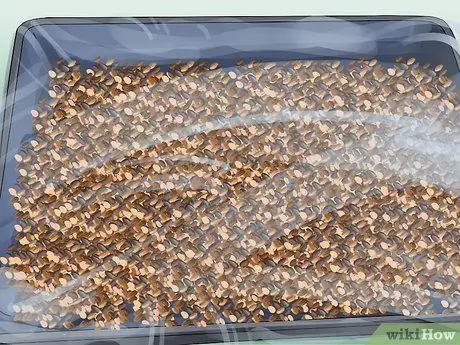 Солодовый ячмень Шаг 8