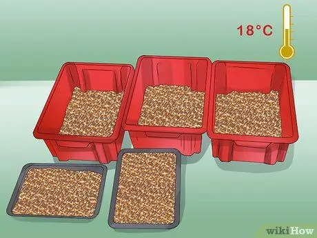 Солодовый ячмень Шаг 9