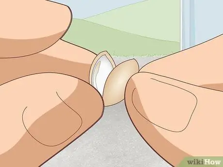 Сухой солод Шаг 7