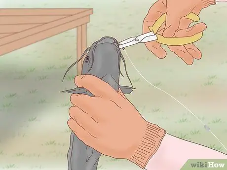 Поймать прудового сома Шаг 12