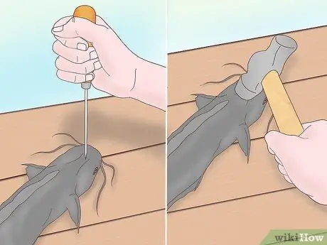 Поймать прудового сома Шаг 13