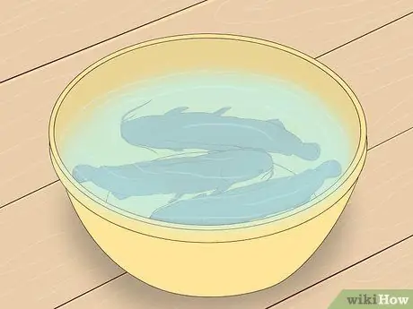 Поймать прудового сома Шаг 15