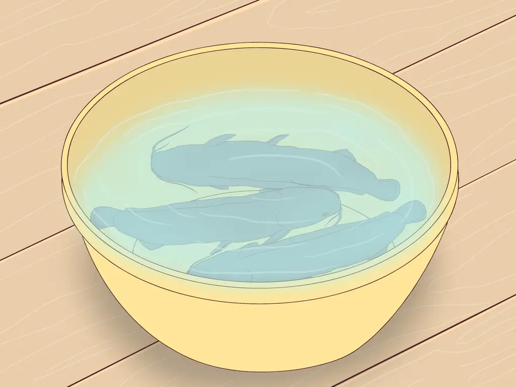 Как поймать прудового сома: 15 шагов (с иллюстрациями)