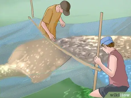 Добыча сома Шаг 11