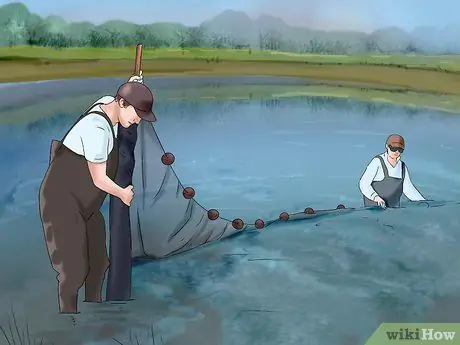 Добыча сома, шаг 4