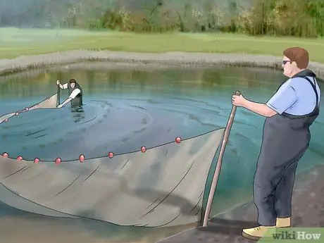 Добыча сома, шаг 5