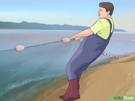 Добыча сома, шаг 8