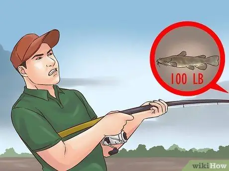 Поймать плоского сома Шаг 10