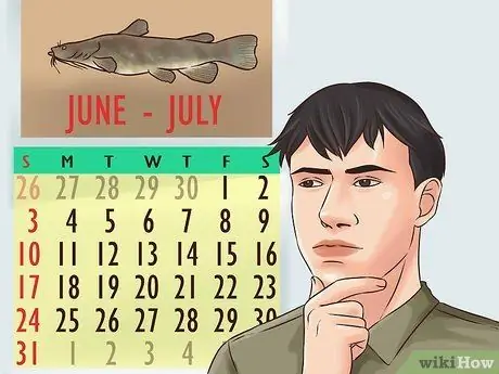 Поймать плоского сома Шаг 13