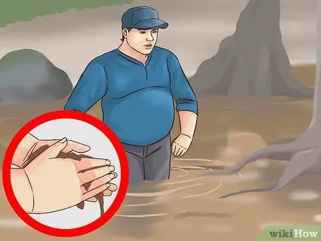 Поймать плоского сома Шаг 15