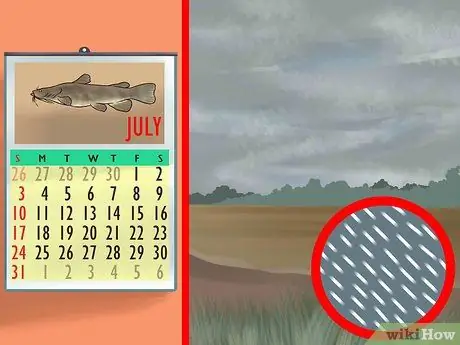 Поймать плоского сома Шаг 3