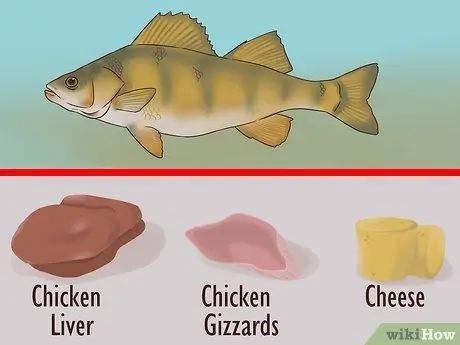 Поймать плоского сома Шаг 4