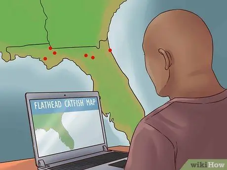 Поймать плоского сома Шаг 6