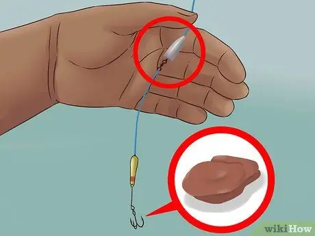 Поймать плоского сома Шаг 8