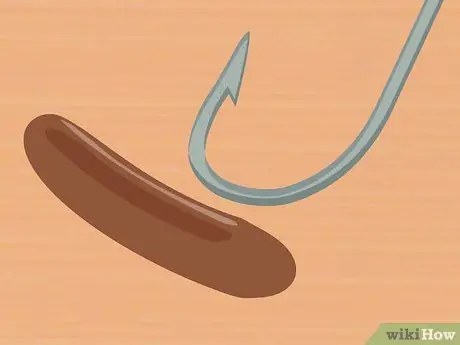 Поймать канального сома Шаг 7