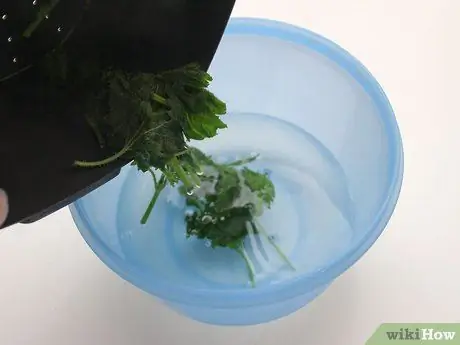 Съешьте крапиву, шаг 3