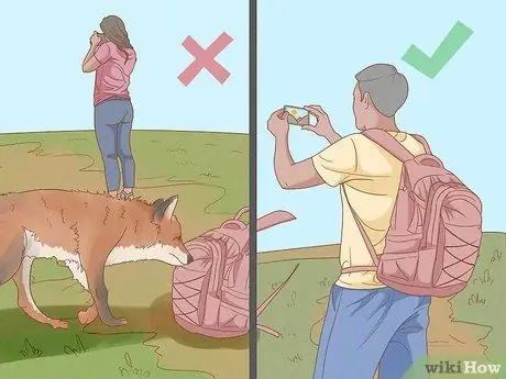 Храните еду в походе Шаг 9