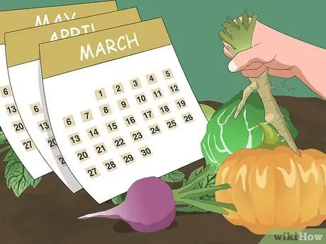 Храните продукты в корневом погребе Шаг 3