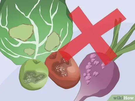 Храните продукты в корневом погребе Шаг 4