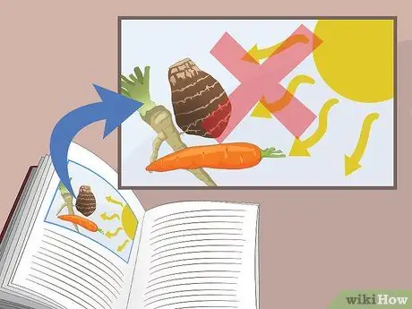 Храните продукты в корневом погребе Шаг 5