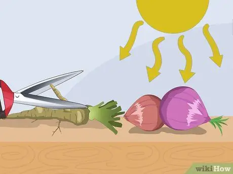 Храните продукты в корневом погребе Шаг 7