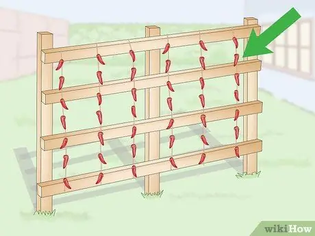 Хранить чили Шаг 6