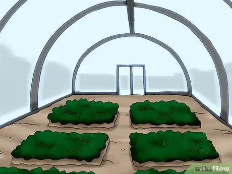 Выберите биодинамическую пищу Шаг 7