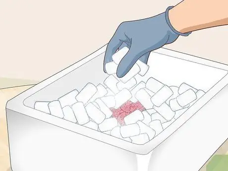 Замораживание сухих фруктов Шаг 10