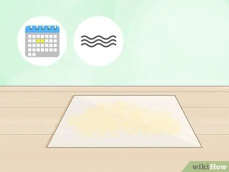 Хранение пыльцы Шаг 11