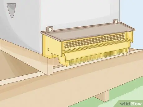 Хранение пыльцы Шаг 15