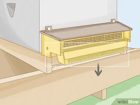 Хранение пыльцы Шаг 16