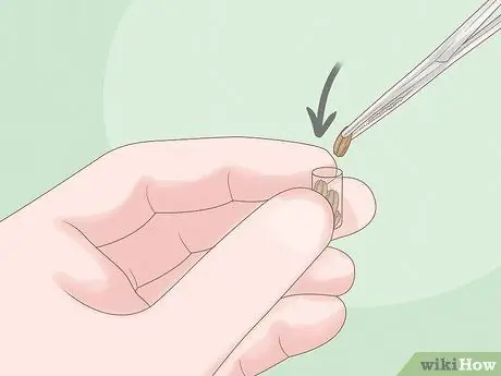 Хранение пыльцы, шаг 2