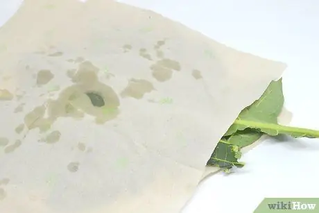 Чипсы Store Kale Step 1