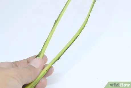 Чипсы Store Kale Step 2