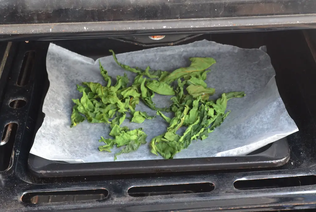 Как хранить чипсы из капусты: 14 шагов (с изображениями)