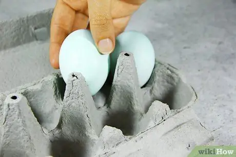 Хранить утиные яйца Шаг 1