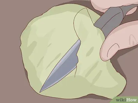 Выберите и сохраните Кольраби Шаг 12